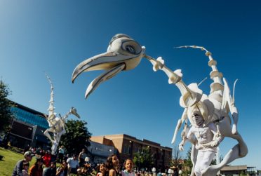 Birdmen at The Sound